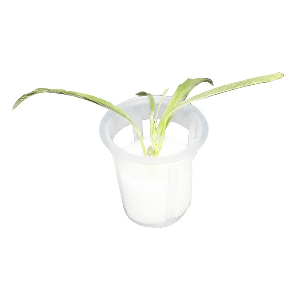 50Pcs Hydroponic Colonization Mesh Pot Net Cup Basket Balcony Vegetable Soilless Cultivation Equipment Planting Grow Clone
50Pcs Hydroponic Colonization Mesh Pot Net Cup Basket Balcony Vegetable Soilless Cultivation Equipment Planting Grow Clone