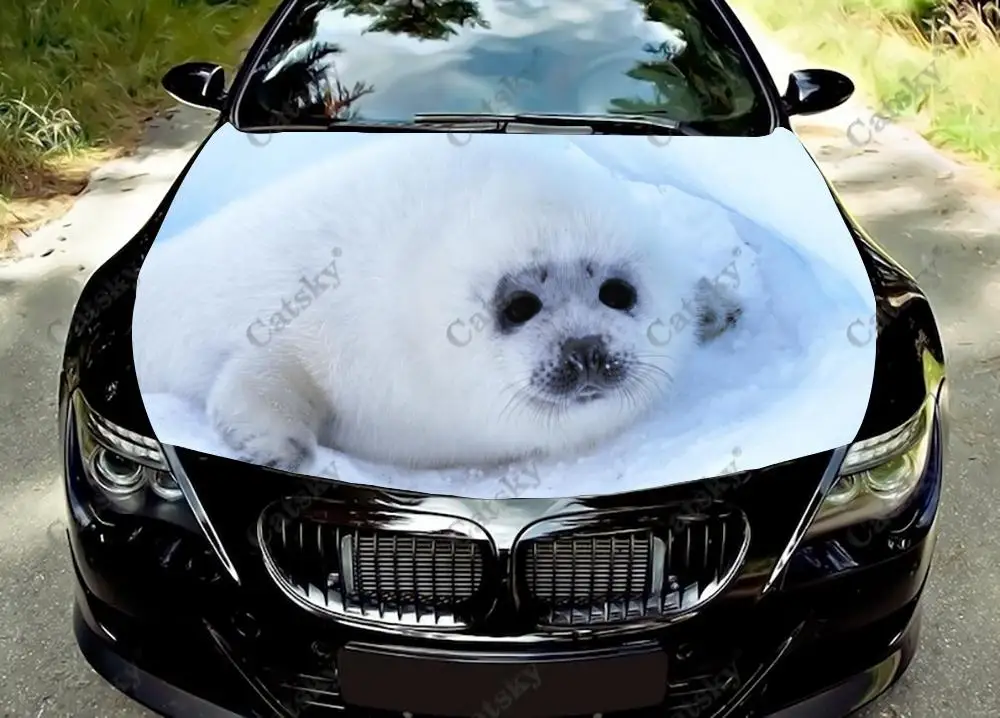 Виниловые наклейки на капот автомобиля с уплотнением животного, виниловая пленка, наклейки на крышку двигателя, автомобильные аксессуары
Виниловые наклейки на капот автомобиля с уплотнением животного, виниловая пленка, наклейки на крышку двигателя, автомобильные аксессуары