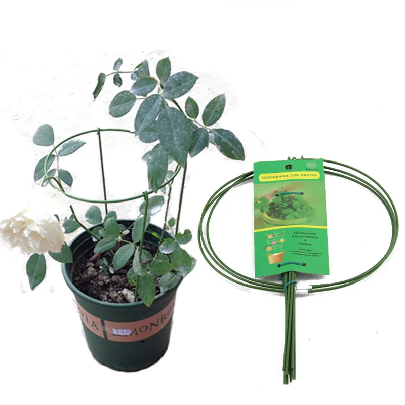 1pc Metal Garden Support Stake Ring Peony Herbaceous Plant Flower Stand Trellis Plant Growth Aids Household New Arrival
1pc Metal Garden Support Stake Ring Peony Herbaceous Plant Flower Stand Trellis Plant Growth Aids Household New Arrival