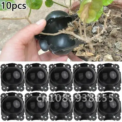Plant Rooting Equipment 10 Pcs High Pressure Propagation Ball Growing Box Breeding Case For Garden Graft Box Sapling
Plant Rooting Equipment 10 Pcs High Pressure Propagation Ball Growing Box Breeding Case For Garden Graft Box Sapling