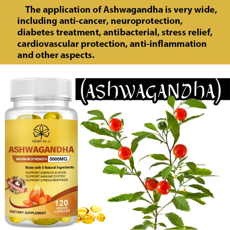 Органические Капсулы Ashwagandha для диабета, снятия стресса, сердечно-сосудистой защиты, анти-воспаления, улучшения качества сна 
Органические Капсулы Ashwagandha для диабета, снятия стресса, сердечно-сосудистой защиты, анти-воспаления, улучшения качества сна