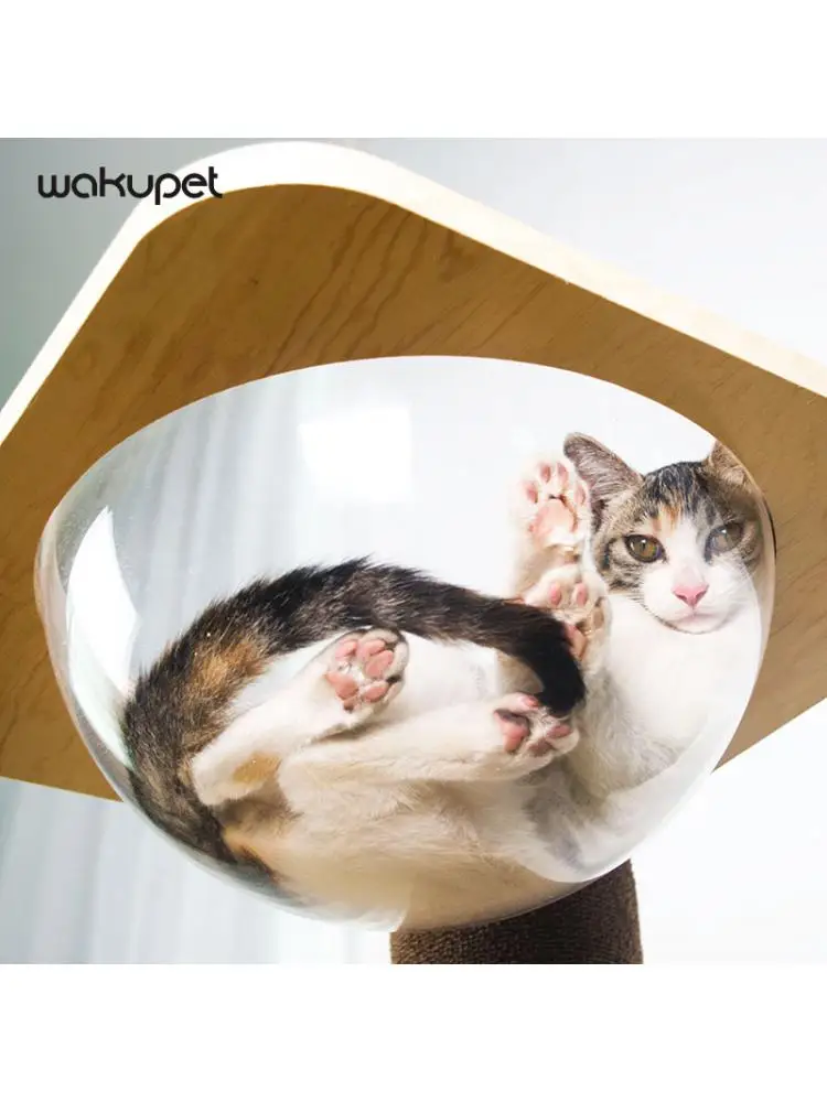 Solid Wood Cat Climbing Frame, Litter Small Space Capsule, Shelf Cat Jumping Platform, Scratching Post, Grinding Tool
Solid Wood Cat Climbing Frame, Litter Small Space Capsule, Shelf Cat Jumping Platform, Scratching Post, Grinding Tool