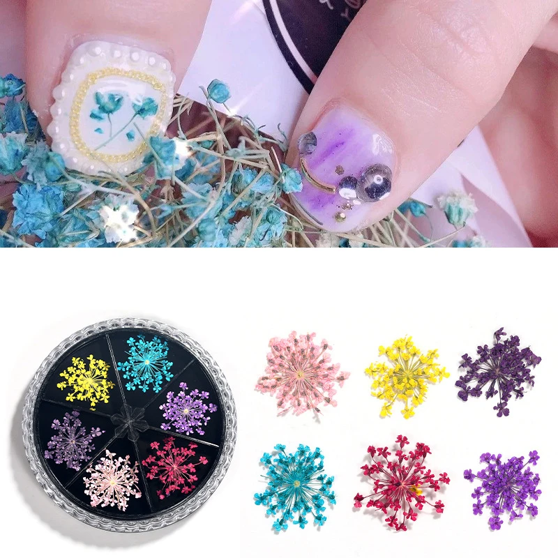 1 Box 3D Mixed Multicolor Dried Flowers Colors Natural Dried Flowers Nail Art Decorations Beauty Flowers DIY Nail Art Decoration
1 Box 3D Mixed Multicolor Dried Flowers Colors Natural Dried Flowers Nail Art Decorations Beauty Flowers DIY Nail Art Decoration