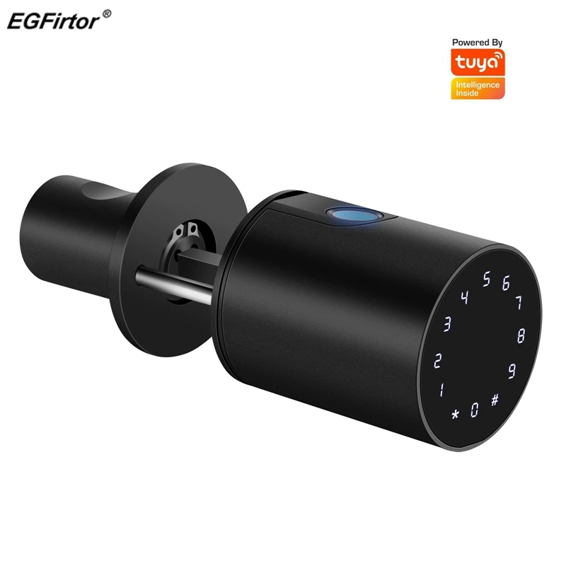 

EGFirtor Fingerprint Password Lock Cylinder Tuya APP Remote Biometric Electronic Coded Keypad Keyless Smart Door Lock