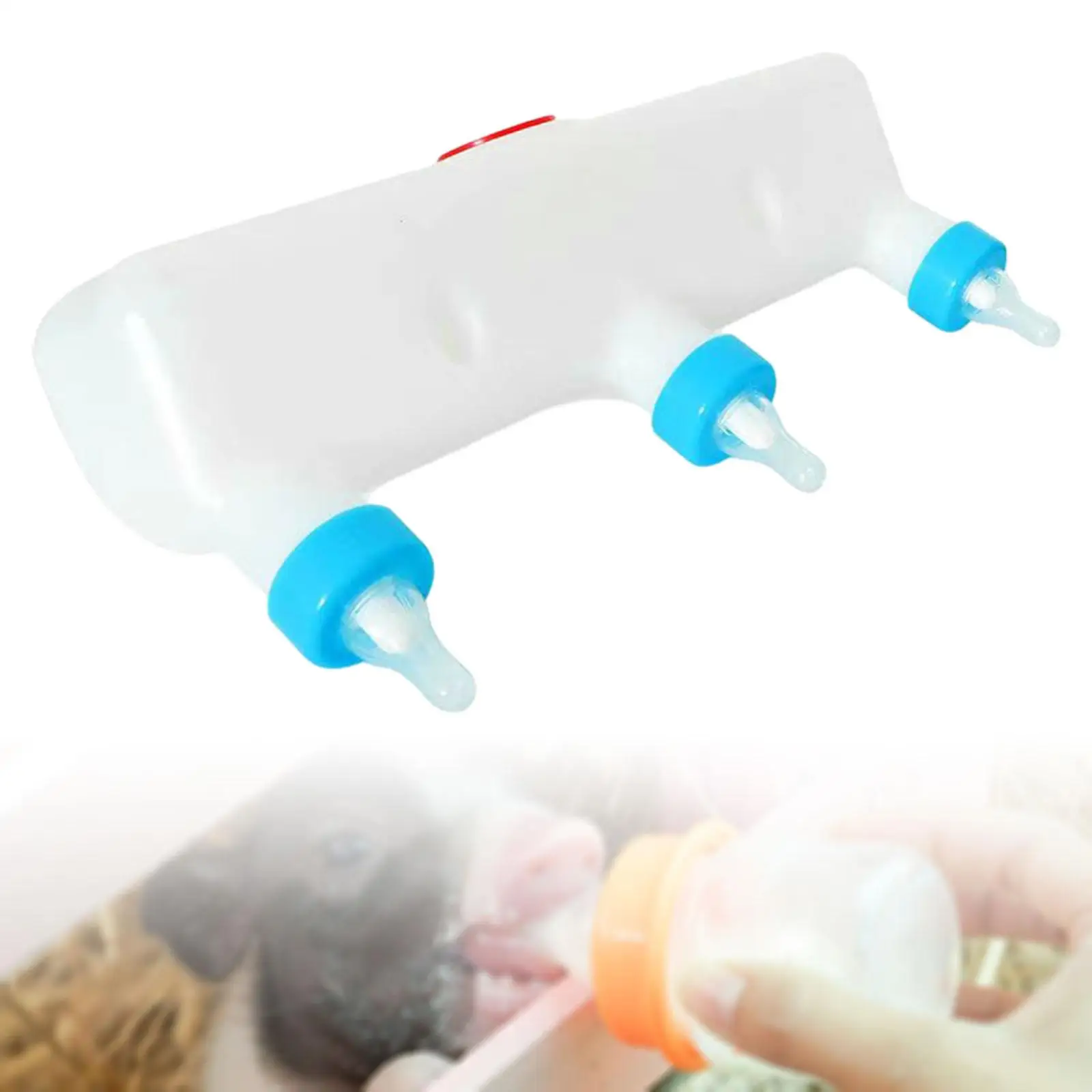 Pet Puppy Feeder Durable Nursing Station Livestock Feeding Tools 3 L Newborn Nursing Bowl for Farm Animal Pig Calf Puppy Sheep
Pet Puppy Feeder Durable Nursing Station Livestock Feeding Tools 3 L Newborn Nursing Bowl for Farm Animal Pig Calf Puppy Sheep