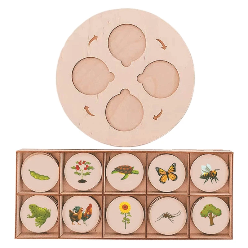 Animals Plants Growth Cycle Board Toy Nature Learning Puzzle Life Growing Education Props Kindergarten Preschool Toys
Animals Plants Growth Cycle Board Toy Nature Learning Puzzle Life Growing Education Props Kindergarten Preschool Toys