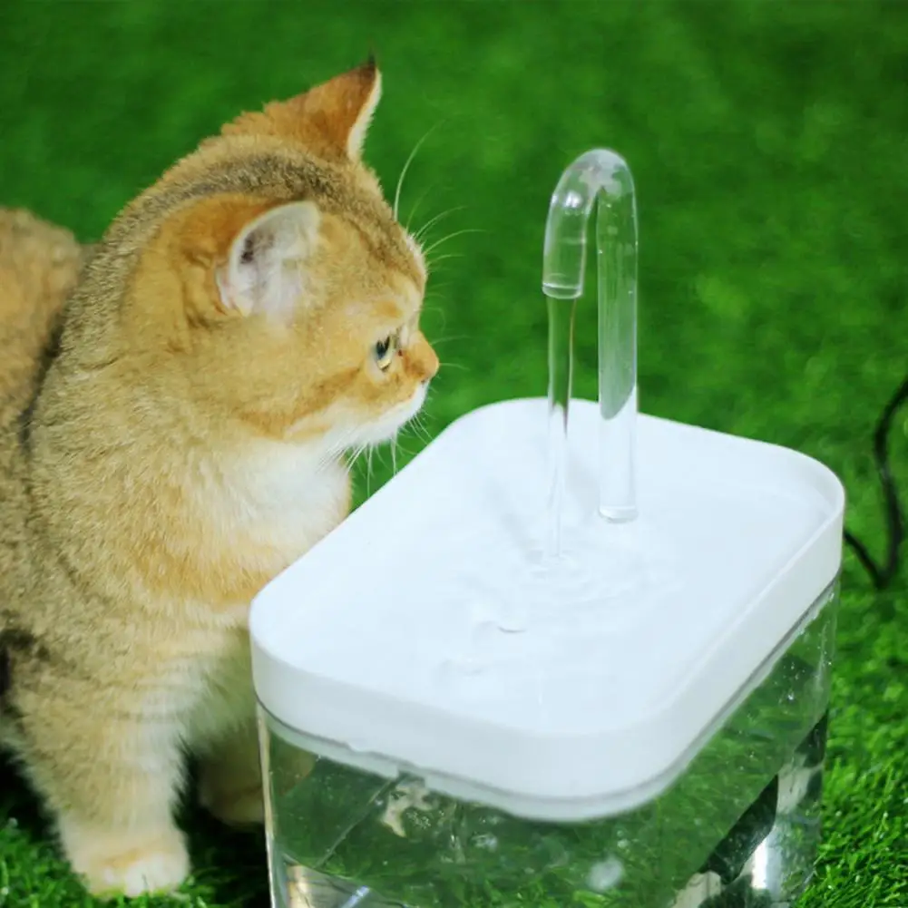 Practical Automatic Intelligent Vertical Pet Water Dispenser Pet Water Dispenser Sturdy Feeding
Practical Automatic Intelligent Vertical Pet Water Dispenser Pet Water Dispenser Sturdy Feeding