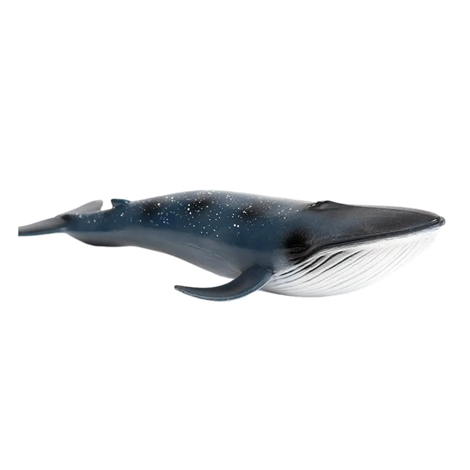 

Whale Figures Toy Model Ornament Realistic Cognitive Toy Educational Collection Blue Whale Toy Model for Boy Kid Girls