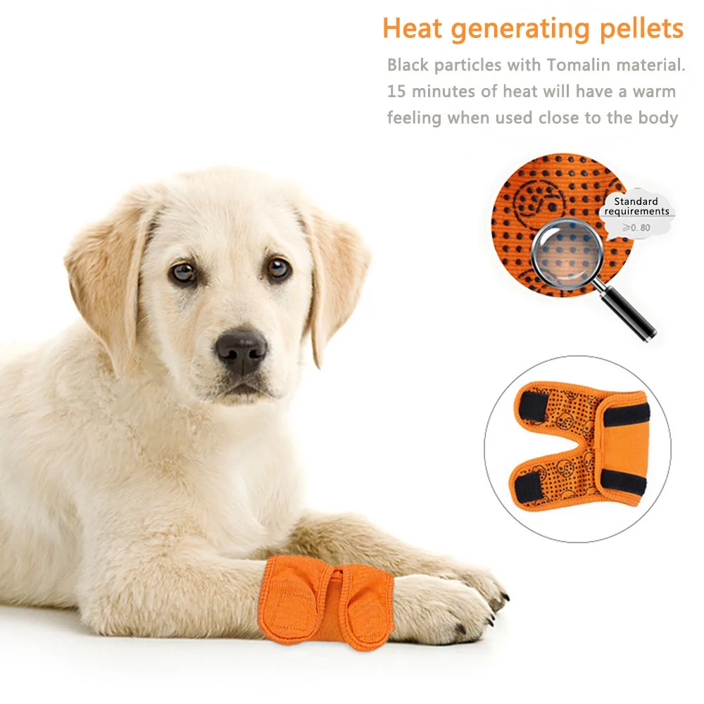 Dog Leg Protectors Post-Operative Joint Knee Protector Pet Pain Relief Straps Dog Leg Orthopedic Rehabilitation Brace
Dog Leg Protectors Post-Operative Joint Knee Protector Pet Pain Relief Straps Dog Leg Orthopedic Rehabilitation Brace