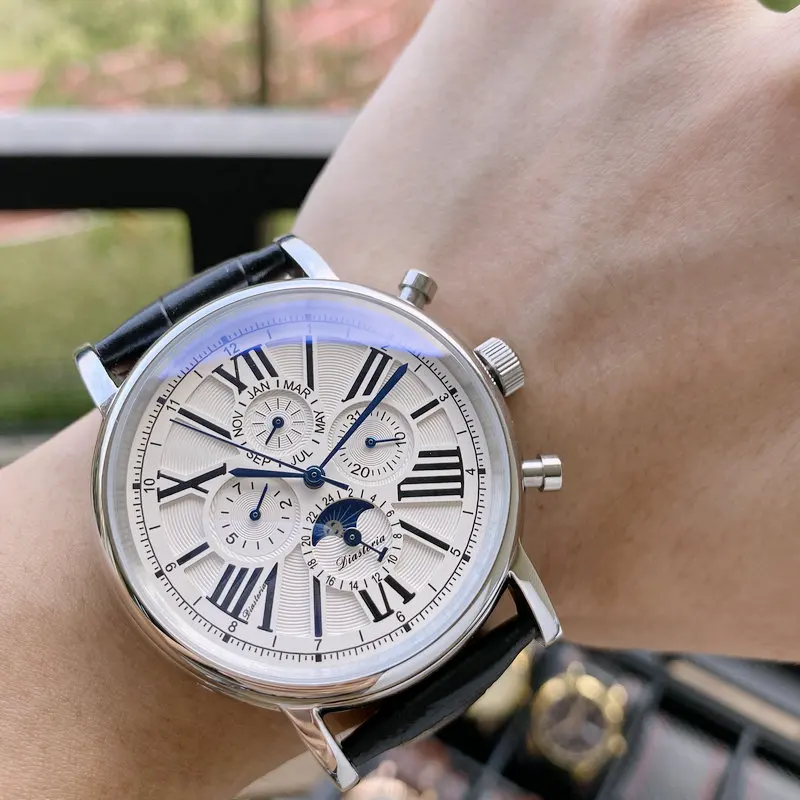 DIASTERIA Brand Men's Watch All Functions Date Day Automatic Watches for Men Moon Phase Mechanical Wristwatch Waterproof
DIASTERIA Brand Men's Watch All Functions Date Day Automatic Watches for Men Moon Phase Mechanical Wristwatch Waterproof