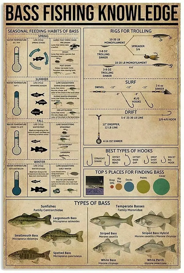 LindaFeeney Bass Fishing Knowledge Art Wall Decor Retro Metal Tin Signs Types Of Printing Poster Club Restaurant Bar Cafe Living
LindaFeeney Bass Fishing Knowledge Art Wall Decor Retro Metal Tin Signs Types Of Printing Poster Club Restaurant Bar Cafe Living