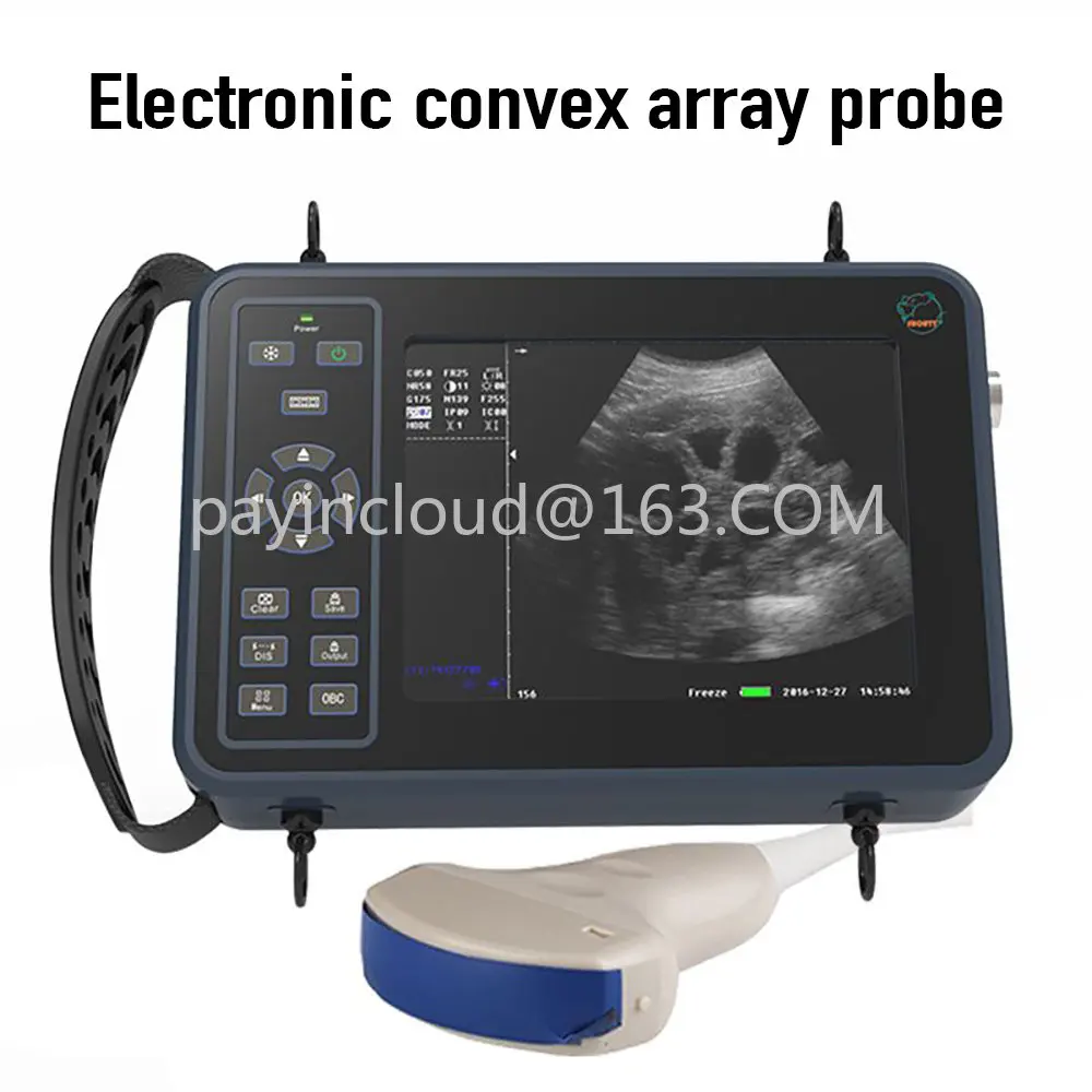 Veterinary Ultrasound Scanner Portable Pregnancy Testing For Cattle Cow Pig Sheep Horse Farm Animals Pet
Veterinary Ultrasound Scanner Portable Pregnancy Testing For Cattle Cow Pig Sheep Horse Farm Animals Pet