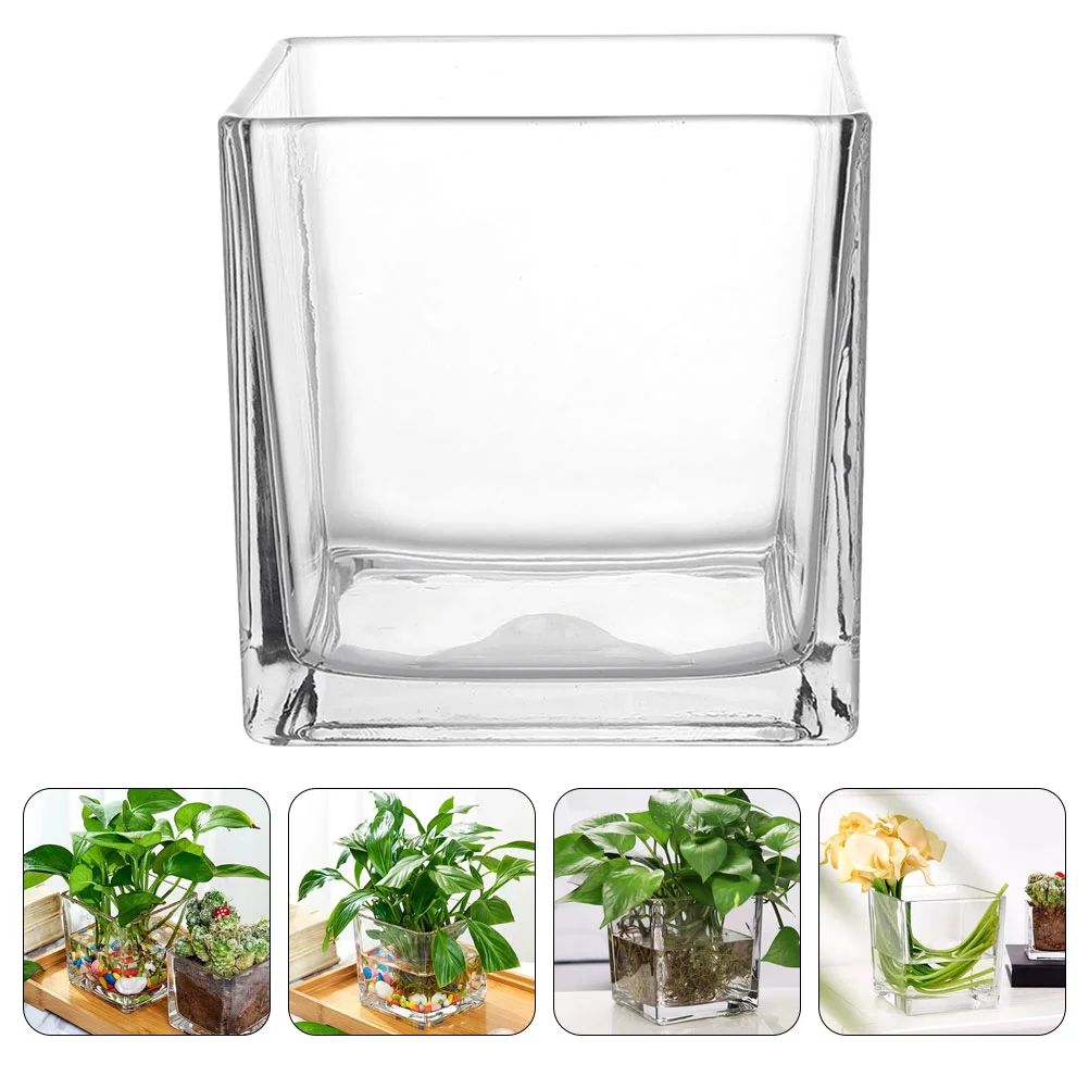 Square Glass Vase Clear Cube Vase Hydroponic Vase Modern Flower Vase Planter (15x15cm)
Square Glass Vase Clear Cube Vase Hydroponic Vase Modern Flower Vase Planter (15x15cm)