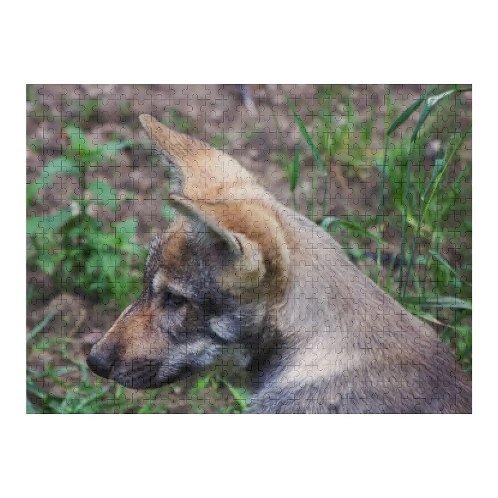 

Canis Lupus Lupus II Jigsaw Puzzle Jigsaw For Kids Customized Gifts For Kids Personalised Puzzle