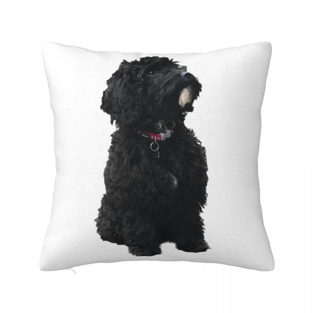 Phoebe - Cockapoo Throw Pillow bed pillows Marble Cushion Cover Cushion Covers For Living Room
Phoebe - Cockapoo Throw Pillow bed pillows Marble Cushion Cover Cushion Covers For Living Room