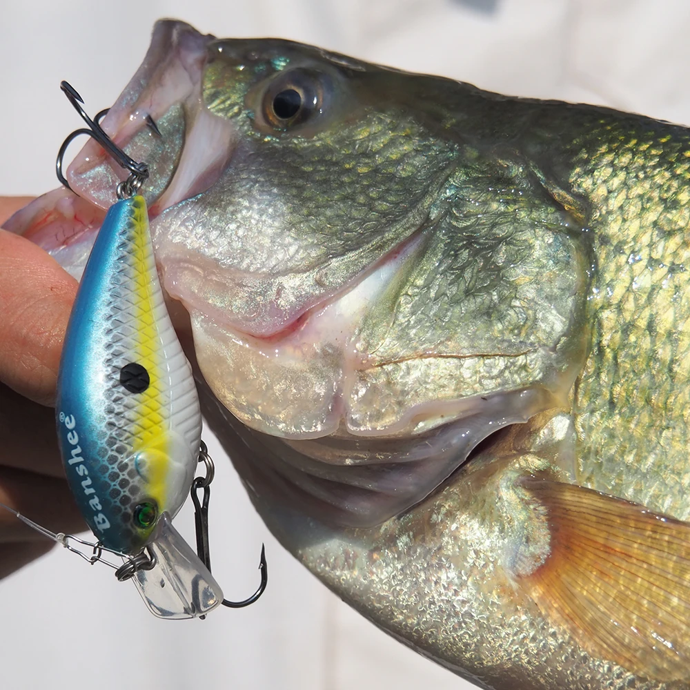 Banshee 60mm 12g Blitz Crank Floating Fishing Lure VC03 Rattle Sound Wobbler Square Bill Artificial Medium Diving Crankbaits
Banshee 60mm 12g Blitz Crank Floating Fishing Lure VC03 Rattle Sound Wobbler Square Bill Artificial Medium Diving Crankbaits