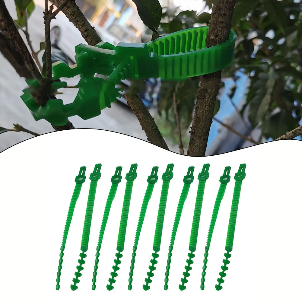 1Pack Of 10 Garden Tree Ties Adjustable Support Straps PE Green Trees/Shrubs Reusable Plants Trees Shrubs Outdoor Garden Supplie
1Pack Of 10 Garden Tree Ties Adjustable Support Straps PE Green Trees/Shrubs Reusable Plants Trees Shrubs Outdoor Garden Supplie