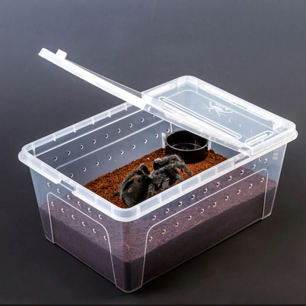 Reptile Food Water Feeder Tortoise Feeding Bowl Spider Food Dish Round Snake Feeder
Reptile Food Water Feeder Tortoise Feeding Bowl Spider Food Dish Round Snake Feeder