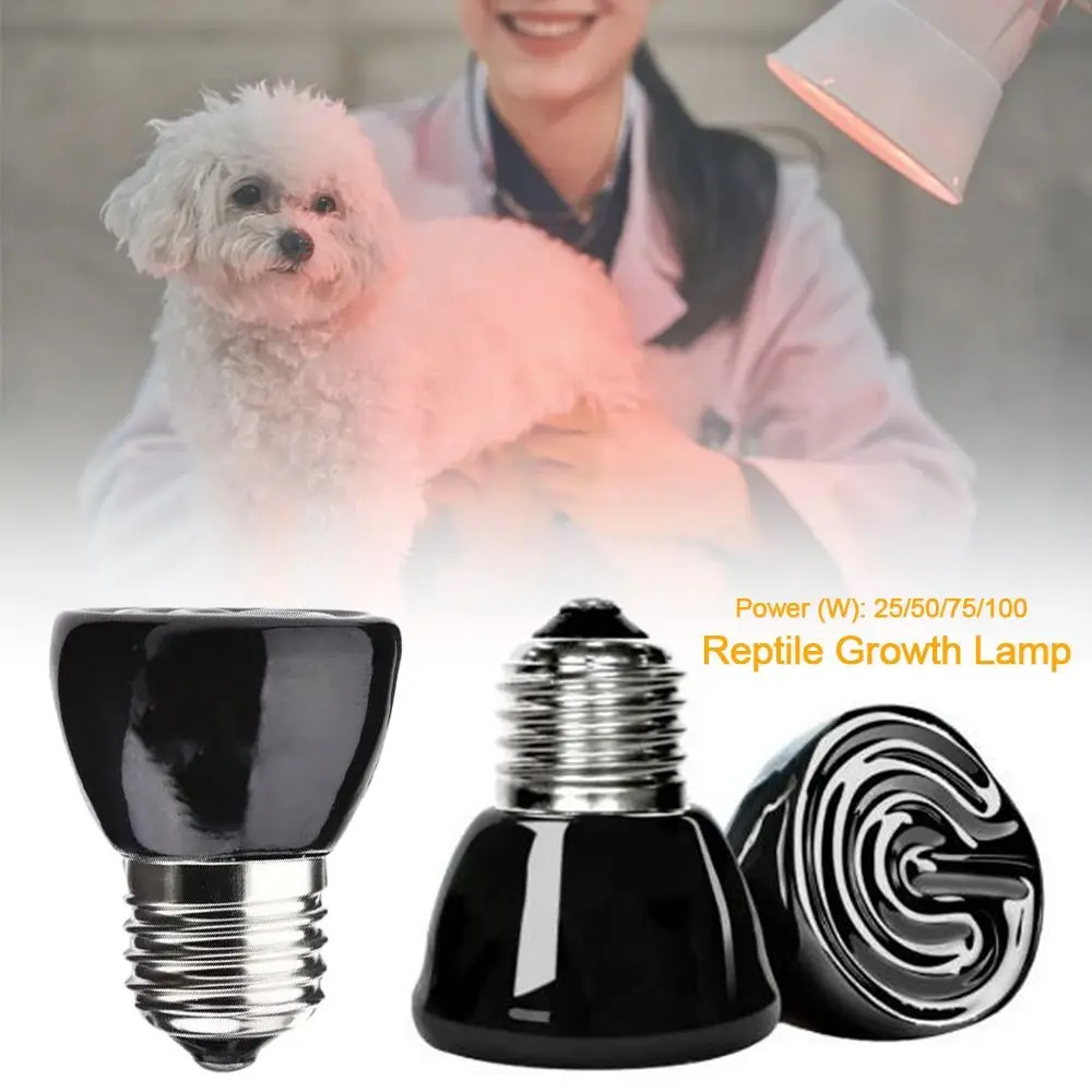 Brooder Coop Heater Reptile Heat Lamp Incubation Poultry Heater Reptile Supplies Reptile Growth Lamp Greenhouse Heater
Brooder Coop Heater Reptile Heat Lamp Incubation Poultry Heater Reptile Supplies Reptile Growth Lamp Greenhouse Heater