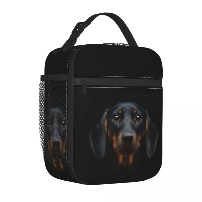 Dachshund Dog Insulated Lunch Bags Portable Wiener Sausage Doxie Meal Container Cooler Bag Lunch Box Tote College Picnic Bags
Dachshund Dog Insulated Lunch Bags Portable Wiener Sausage Doxie Meal Container Cooler Bag Lunch Box Tote College Picnic Bags