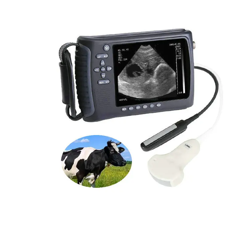 

Cheap handheld pet vet portable equine ultrasound price cow preg nancy ultrasound scanner