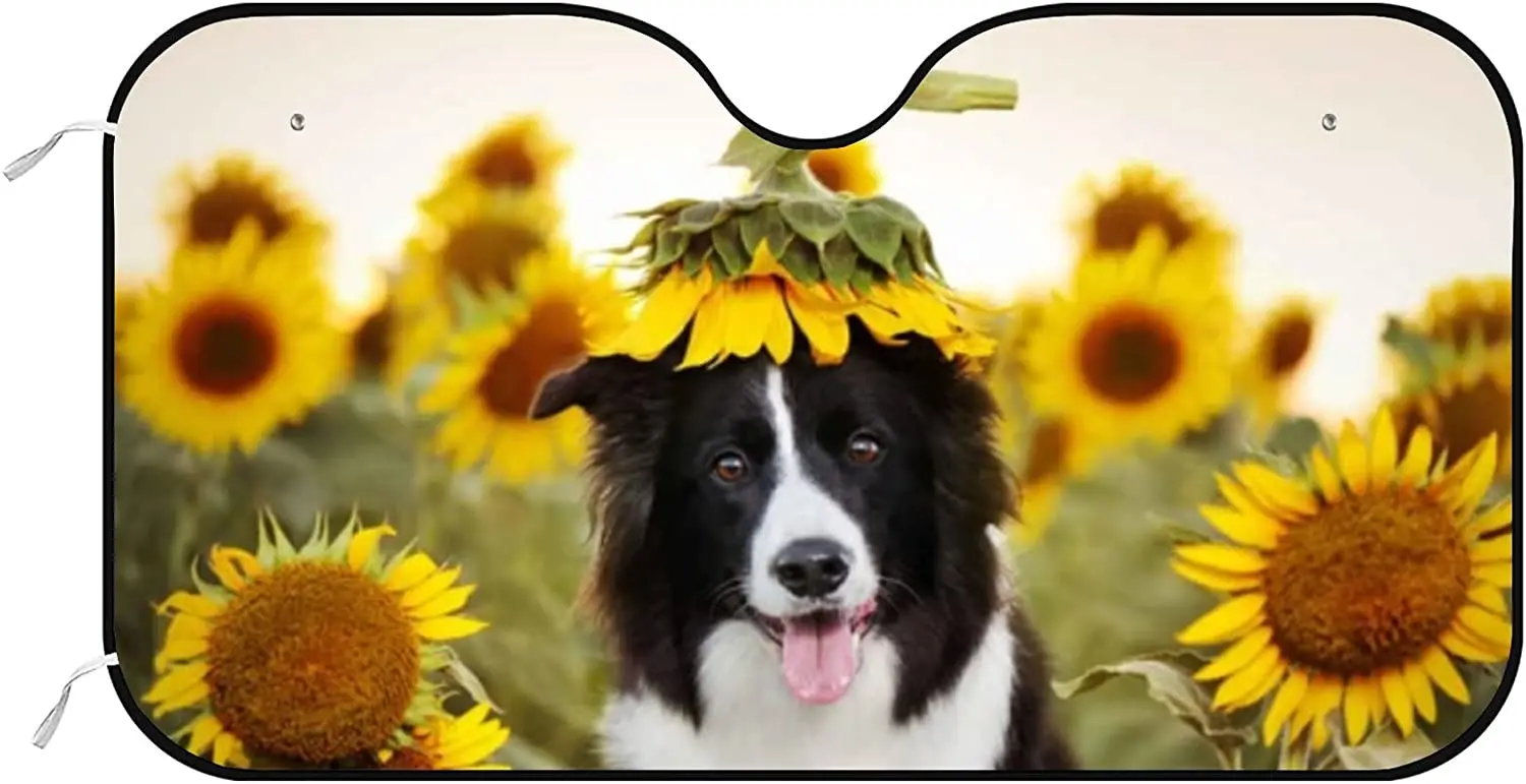 Car Front Windshield Sunshade UV Heat Protection, Foldable Auto Windshield Sun Visor for Sedan SUV Truck Corgis on the Lawn, Car
Car Front Windshield Sunshade UV Heat Protection, Foldable Auto Windshield Sun Visor for Sedan SUV Truck Corgis on the Lawn, Car