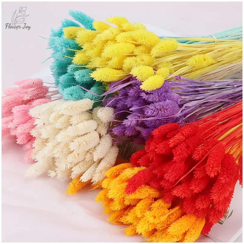 50pcs Natural Jewelry Grass Branch Dried Flowers Bouquet Phalaris Gem Grass Home Decor Accessories Wedding Chriatmas Decoration
50pcs Natural Jewelry Grass Branch Dried Flowers Bouquet Phalaris Gem Grass Home Decor Accessories Wedding Chriatmas Decoration