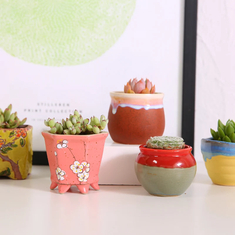 New Gloves Fo Meat Plants Pot Planting Green Flowers Pots Farmhouse Home Decor Desktop Valentine's Day Gift Succulent
New Gloves Fo Meat Plants Pot Planting Green Flowers Pots Farmhouse Home Decor Desktop Valentine's Day Gift Succulent
