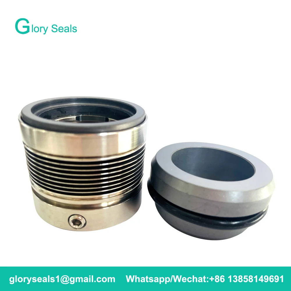 

MFL85N-58 85N-58 Mechanical Seals MFL85N Metal Bellow Mechanical Seals Shaft Size 58mm With G9 Seat Material SIC/SIC/VIT