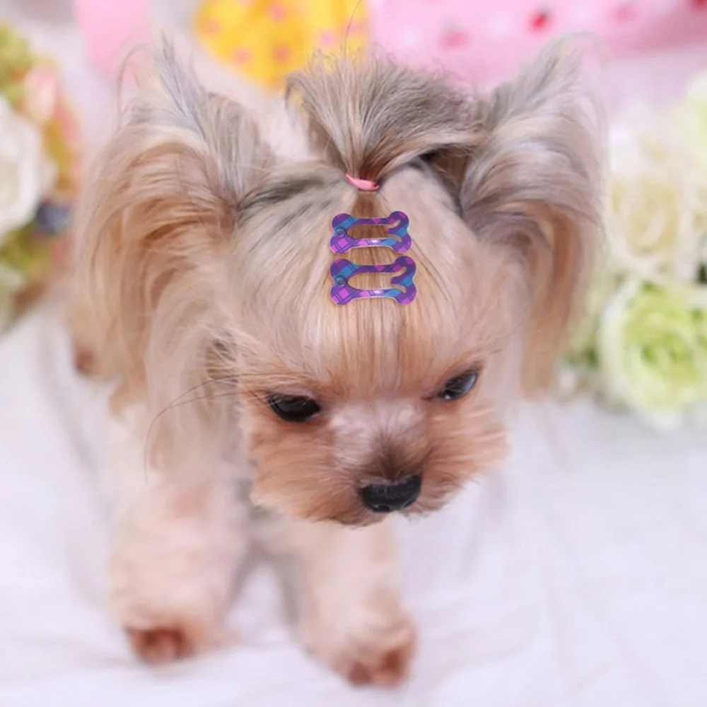Portable Durable Cute Bone Shape Mini Dog Hairpin Hair Clip Pet Headwear Pet Hair Accessories
Portable Durable Cute Bone Shape Mini Dog Hairpin Hair Clip Pet Headwear Pet Hair Accessories