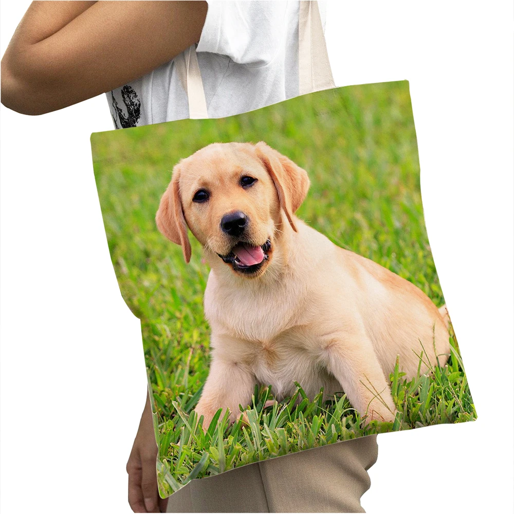 Labrador Retriever Lady Big Capacity Shopper Bags Canvas Tote Handbag Reusable Cute Pet Animal Casual Women Shopping Bag
Labrador Retriever Lady Big Capacity Shopper Bags Canvas Tote Handbag Reusable Cute Pet Animal Casual Women Shopping Bag