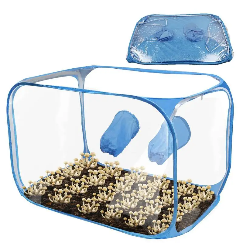 Mushroom Grow Still Air Box Portable Mycology Fume Hood Propagation Stations Mushroom Grow Kit Mushroom Grow Bags Pop-up Design
Mushroom Grow Still Air Box Portable Mycology Fume Hood Propagation Stations Mushroom Grow Kit Mushroom Grow Bags Pop-up Design