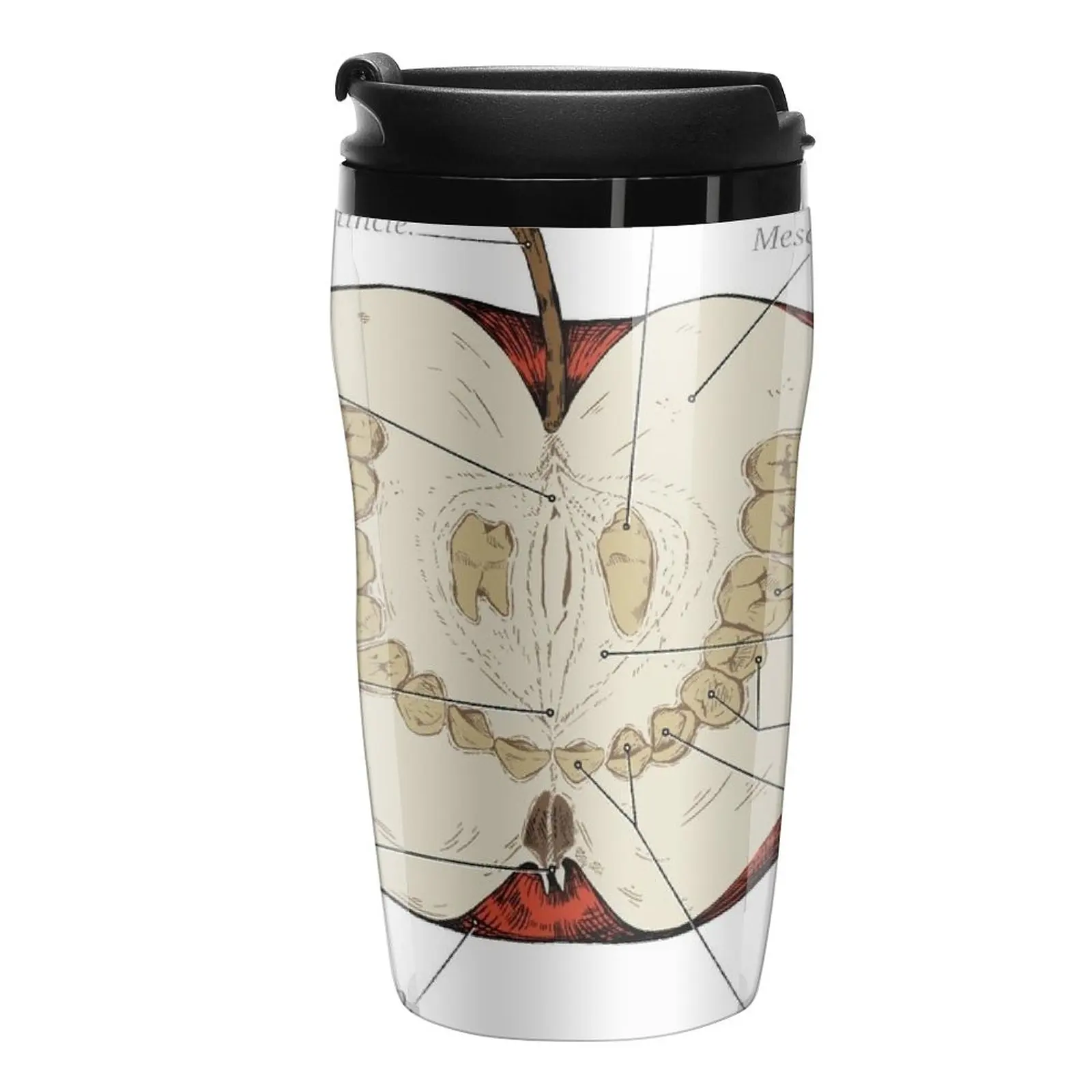 New The Magnus Archives - Anatomy Class - Teeth Apple Travel Coffee Mug Thermo For Coffee Thermos Mug
New The Magnus Archives - Anatomy Class - Teeth Apple Travel Coffee Mug Thermo For Coffee Thermos Mug