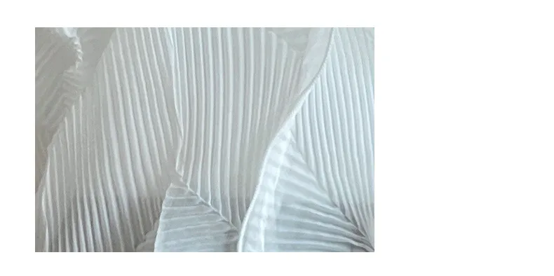 Miyake Pleated T-Shirt 2025 Summer Designer Model Sheer Loose T-Shirt French Elegant Peplum High End Pleated Top Tunic Clothing Miyake Pleated T-Shirt 2025 Summer Designer Model Sheer Loose T-Shirt French Elegant Peplum High End Pleated Top Tunic Clothing