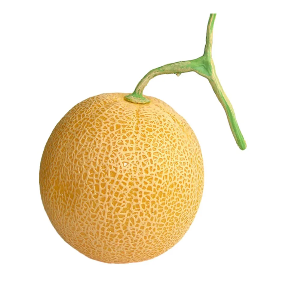 Artificial Imitation Hami Melon Simulation Fruit Fake-Fruit-Home-Decor Kitchen Display Cabinet Decor Sketch Photography Props
Artificial Imitation Hami Melon Simulation Fruit Fake-Fruit-Home-Decor Kitchen Display Cabinet Decor Sketch Photography Props