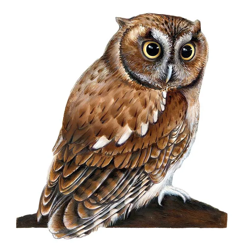 

New Colorful Owl Wooden Puzzle Irregular Animal Shaped Piece A3 A4 A5 28 Design Adult Great Gift Box Jigsaw Games Wholesale