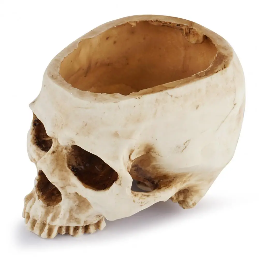 Creepy Plant Holder Halloween Skull Planter Pot Resin Flower Succulents Sculpture for Home Garden Office Decoration
Creepy Plant Holder Halloween Skull Planter Pot Resin Flower Succulents Sculpture for Home Garden Office Decoration