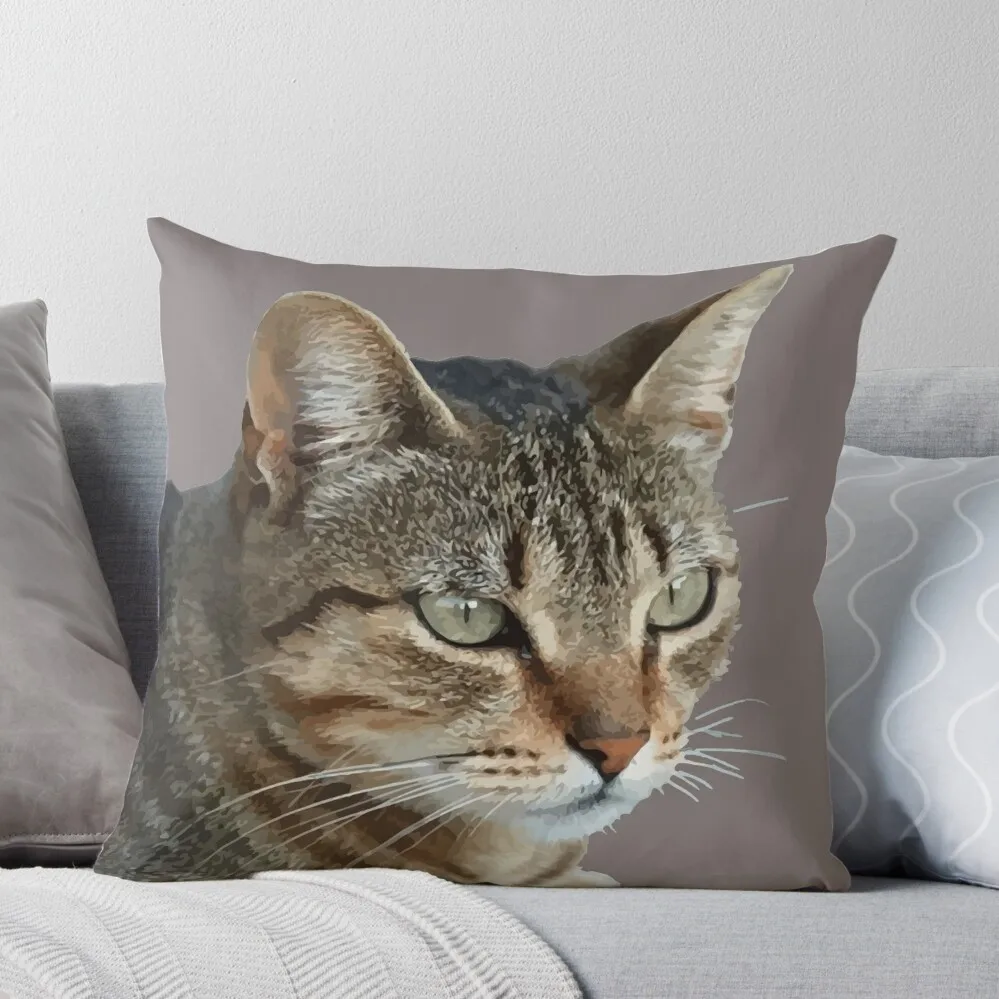 

Stunning Tabby Cat Close Up Portrait Vector Isolated Throw Pillow Decorative pillow case Christmas Covers sleeping pillows