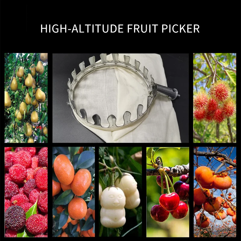 Metal Fruit Picker Orchard Gardening Apple Peach High Tree Easy Fruit Picking Tool Portable Fruit Collection Pouch Garden Tools
Metal Fruit Picker Orchard Gardening Apple Peach High Tree Easy Fruit Picking Tool Portable Fruit Collection Pouch Garden Tools