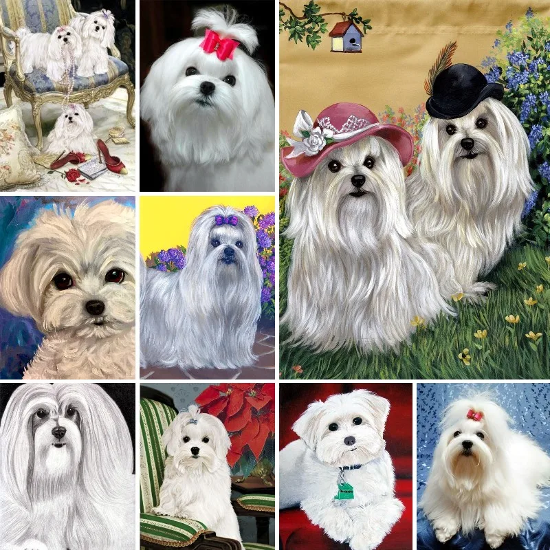 Full Square 5D Diy White Puppy Diamond Painting Maltese Dog Diamond Embroidery Cross Stitch Beads Picture By Number Wall Decor
Full Square 5D Diy White Puppy Diamond Painting Maltese Dog Diamond Embroidery Cross Stitch Beads Picture By Number Wall Decor
