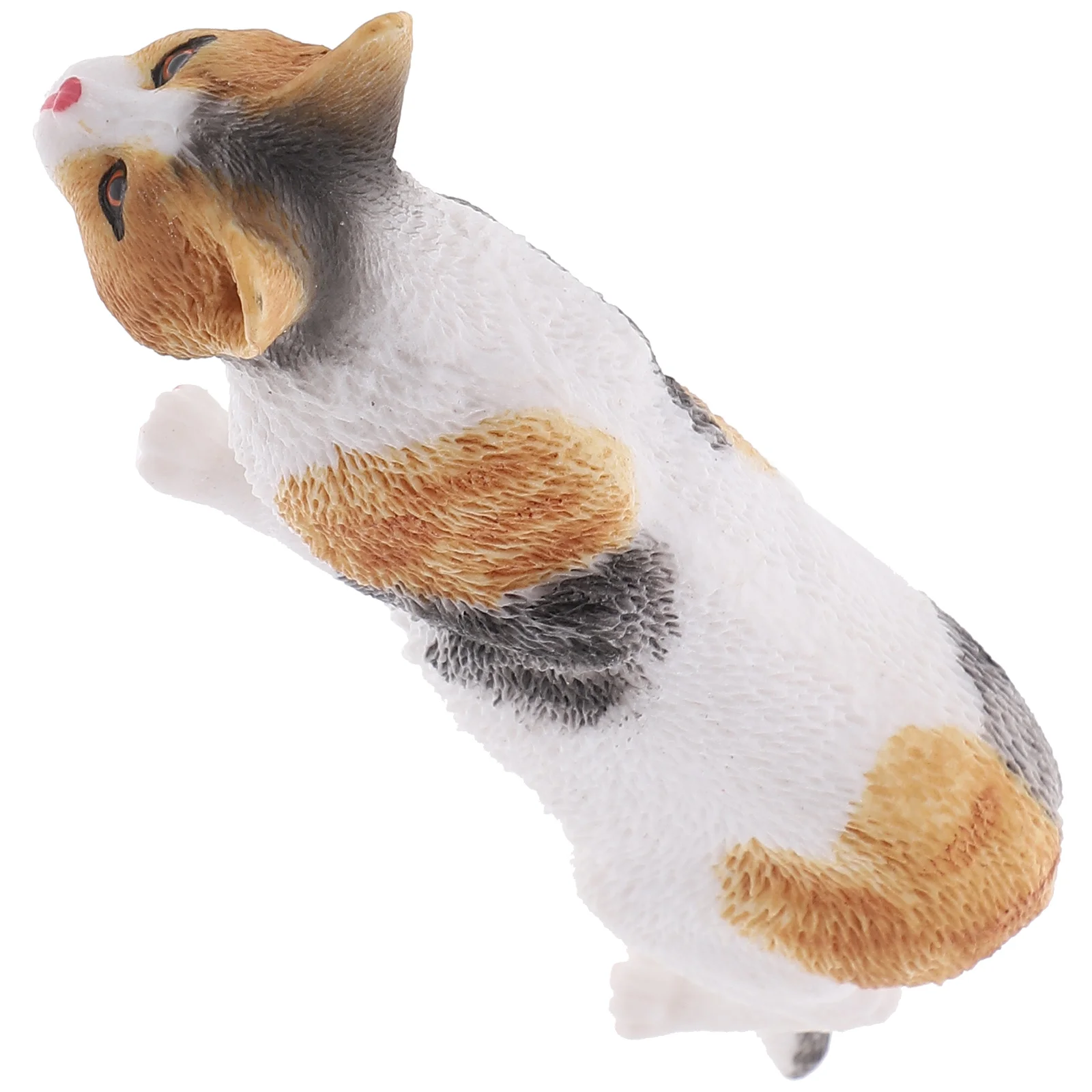 Realistic Cat Figurines Mini Kitten Figure Toy Cat Statue Model Kitten Learning Educational Playset
Realistic Cat Figurines Mini Kitten Figure Toy Cat Statue Model Kitten Learning Educational Playset