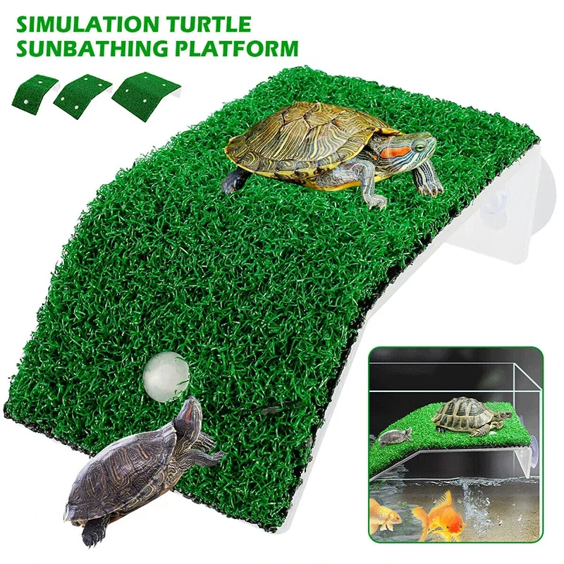 Hot Sale Turtle Climbing Platform Turtle Sunbathing Climbing Platform ABS Simulation Lawn Greenery Climbing Ladder Pet Supplies
Hot Sale Turtle Climbing Platform Turtle Sunbathing Climbing Platform ABS Simulation Lawn Greenery Climbing Ladder Pet Supplies