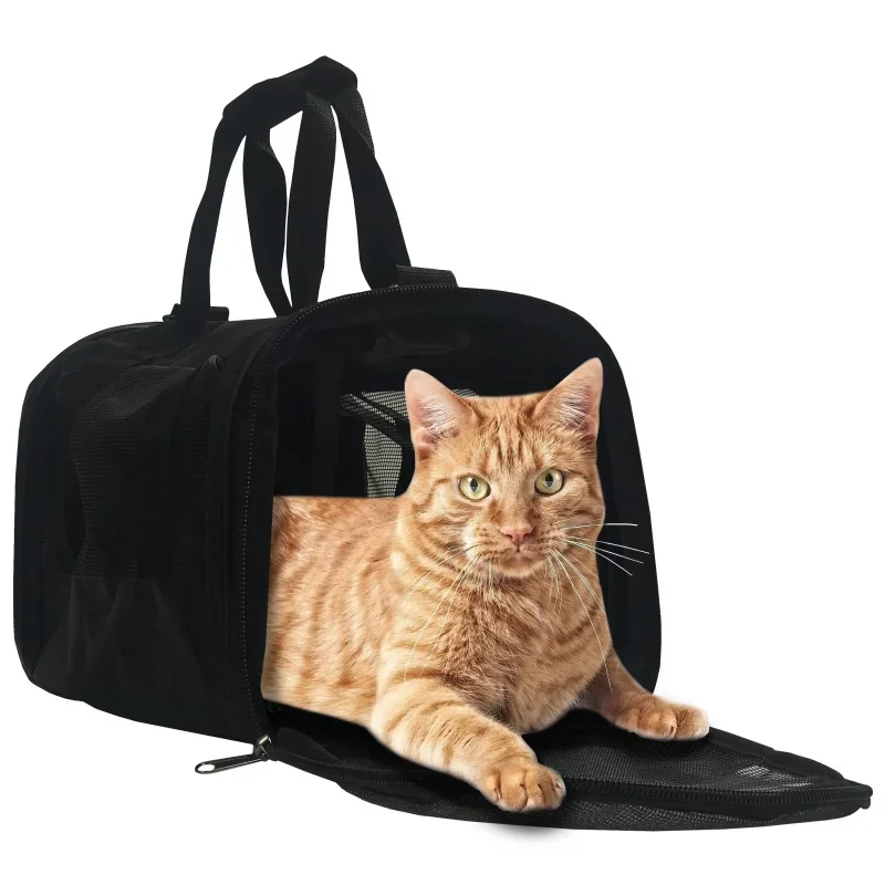 Переноска для домашних животных World Pet Carrier, подходит для кошек и мелких пород, черный, 15 дюймов, Д x 8 дюймов, в x 12 дюймов
Переноска для домашних животных World Pet Carrier, подходит для кошек и мелких пород, черный, 15 дюймов, Д x 8 дюймов, в x 12 дюймов