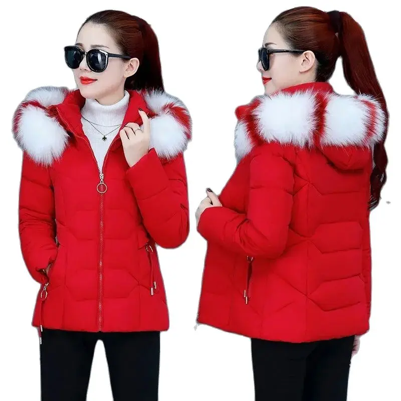 Colored Fur Collar Cotton-Padded Clothes 2023 New Women's Autumn Winter Jacket Thick Warm Hoodie Short Parker Coat Female
Colored Fur Collar Cotton-Padded Clothes 2023 New Women's Autumn Winter Jacket Thick Warm Hoodie Short Parker Coat Female
