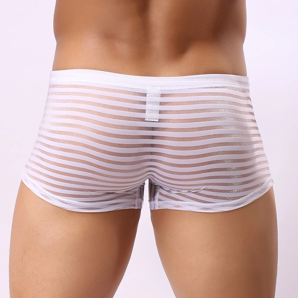 

1pc Sexy Men's See Through Striped Seamless Boxers Briefs Low Waist Solid Color Underwear Shorts Trunks Underpants Man Panties