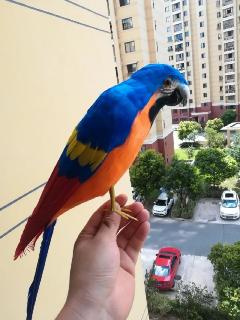 new real life blue&orange parrot model foam&feather simulation parrot bird gift about 42cm xf0199
new real life blue&orange parrot model foam&feather simulation parrot bird gift about 42cm xf0199