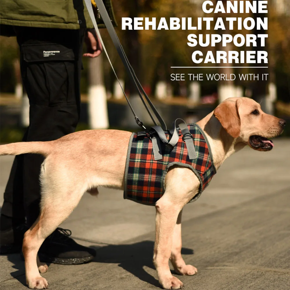 Dog Support Harness For Back & Front Legs Lift Rehabilitation Adjustable Portable for Help Weak Injured Old Disabled Dog Walking
Dog Support Harness For Back & Front Legs Lift Rehabilitation Adjustable Portable for Help Weak Injured Old Disabled Dog Walking