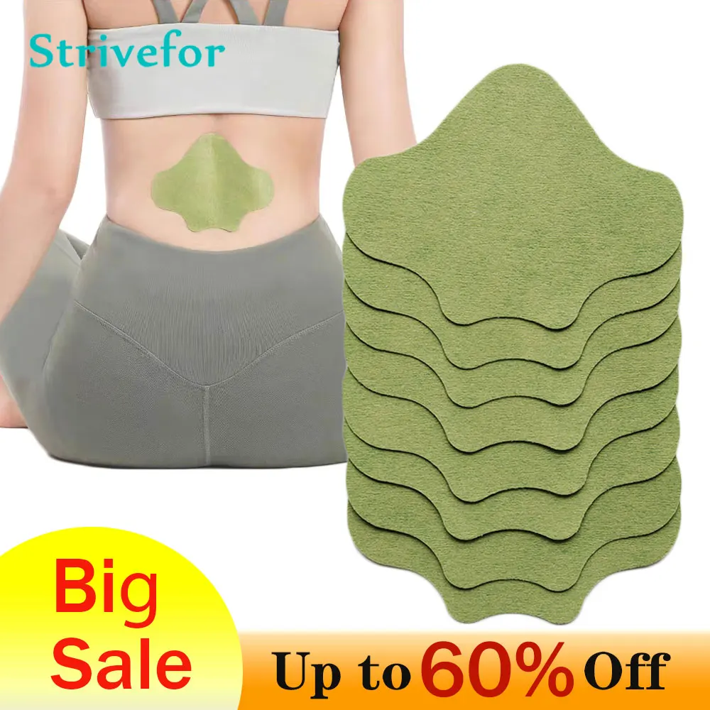 8pcs Lumbar Pain Relief Medical Plaster Self-heating Analgesic Back Anti Inflammatory Patch Rheumatoid Arthritis Sticker BT0089
8pcs Lumbar Pain Relief Medical Plaster Self-heating Analgesic Back Anti Inflammatory Patch Rheumatoid Arthritis Sticker BT0089