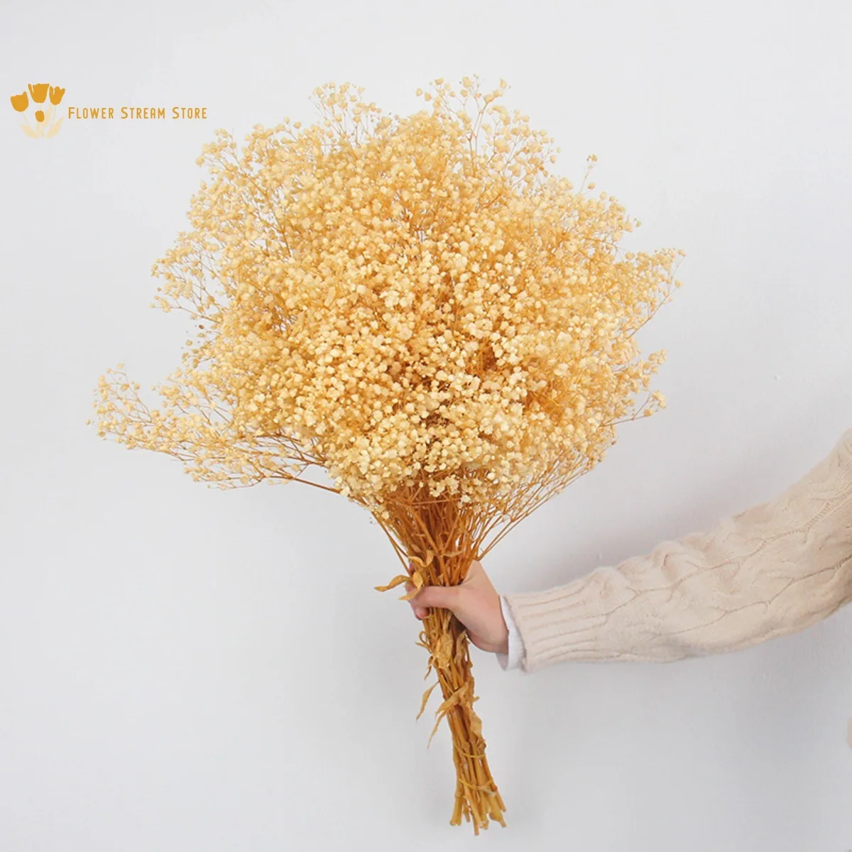 60g Gypsophila Baby Breath Dried Flower Bouquet Valentines Day Gift Natural Flower Branches Nordic Home Decor Wedding Decoration
60g Gypsophila Baby Breath Dried Flower Bouquet Valentines Day Gift Natural Flower Branches Nordic Home Decor Wedding Decoration