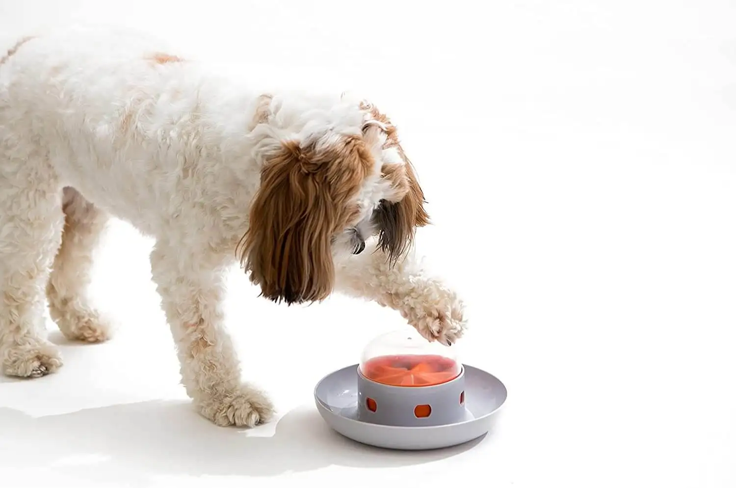 Slow Feeder Dog Bowl Puzzle Toy Pet Press Food Dispenser Interactive Dog Bowl for IQ Training Dog Entertainment Toy
Slow Feeder Dog Bowl Puzzle Toy Pet Press Food Dispenser Interactive Dog Bowl for IQ Training Dog Entertainment Toy